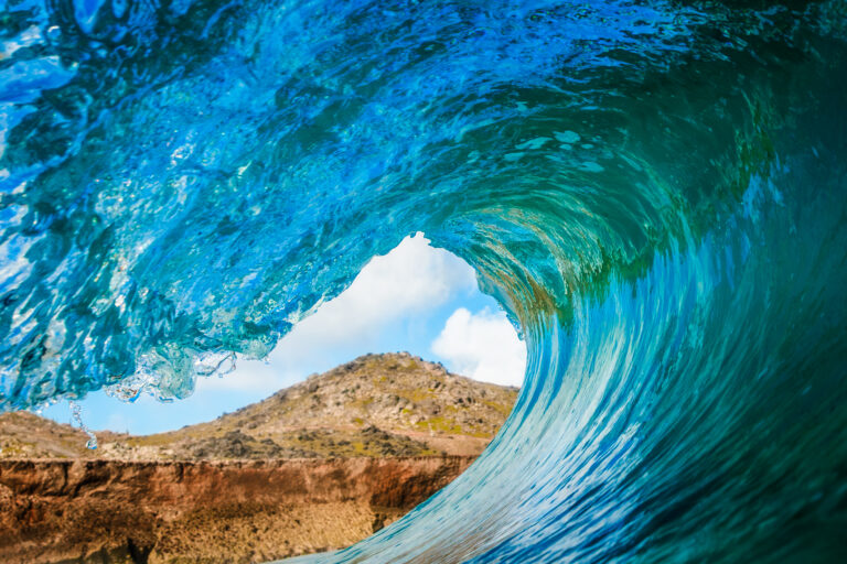 Highlighting Aruba’s Nature in the New Brown Lawyers website